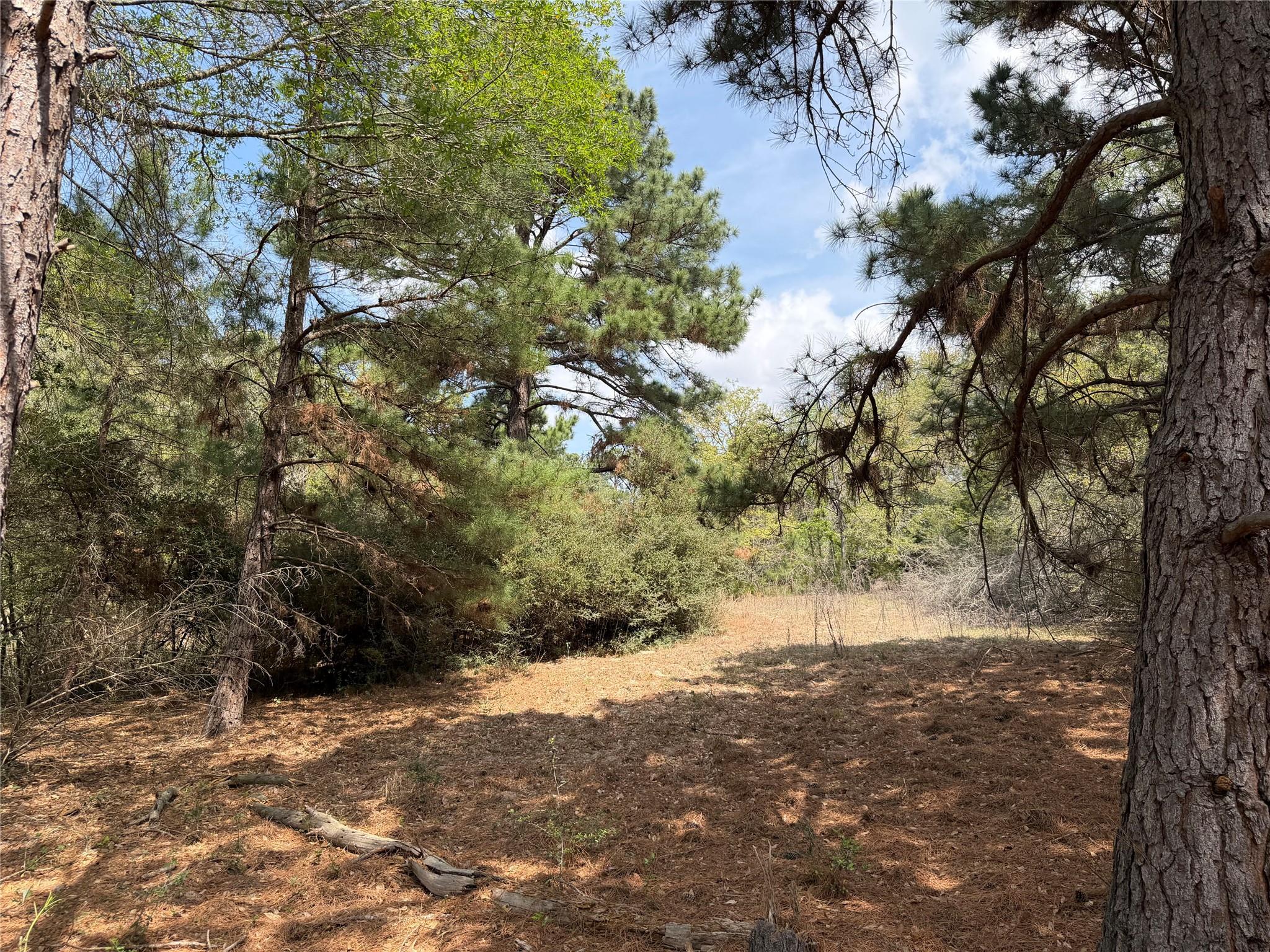 118 Edmonson Ranch Rd, McDade, TX 78650