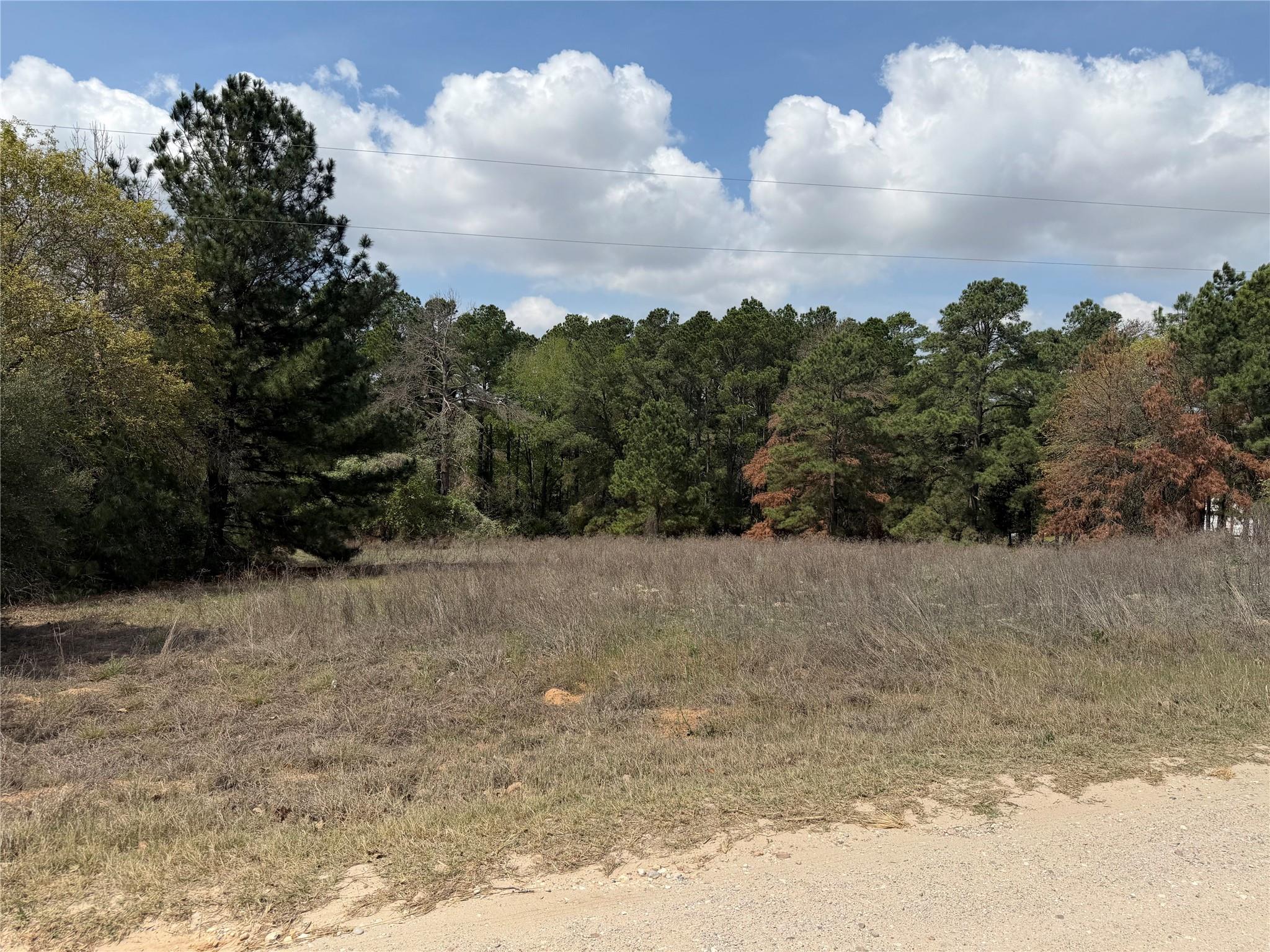 118 Edmonson Ranch Rd, McDade, TX 78650