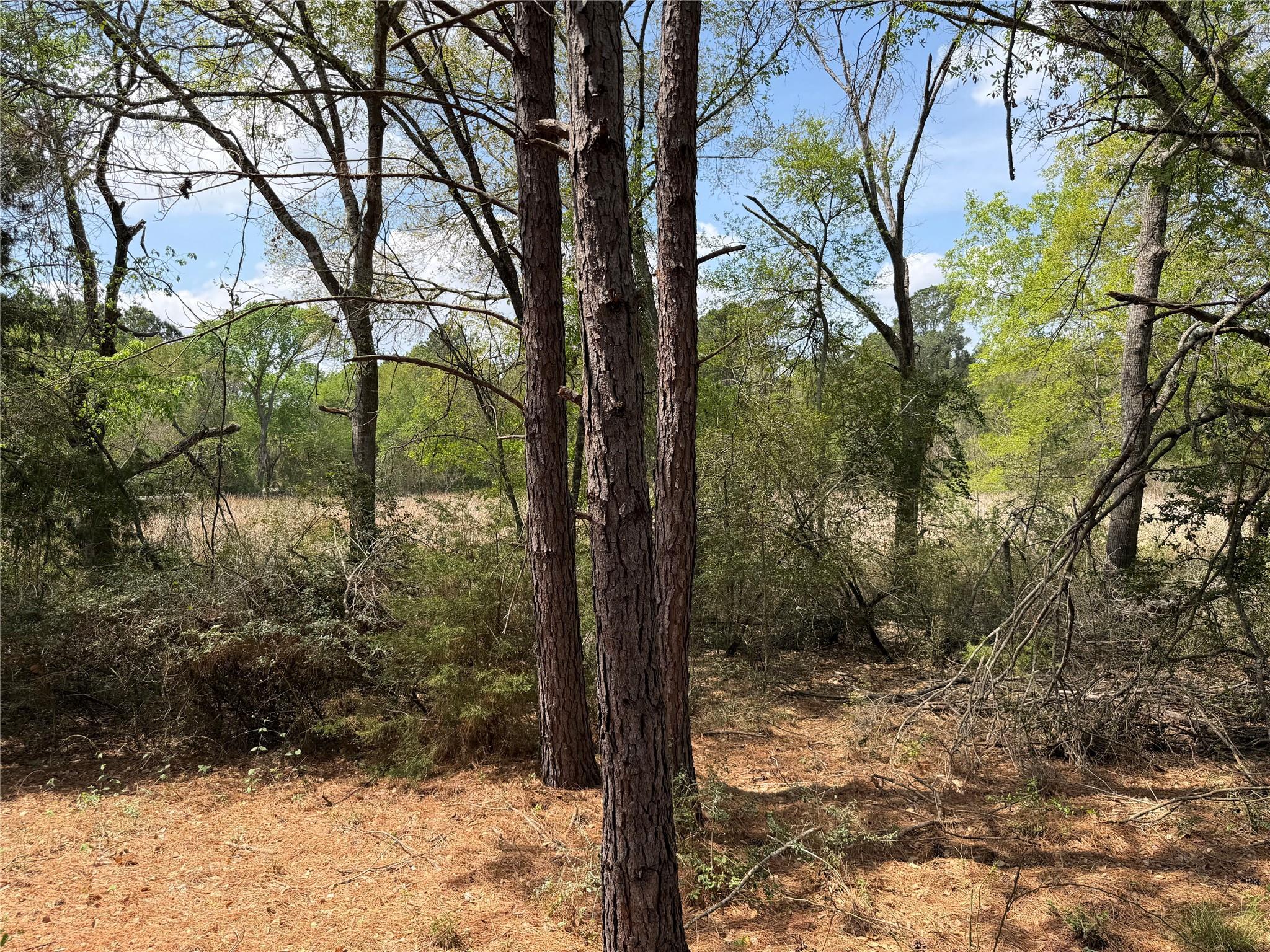 118 Edmonson Ranch Rd, McDade, TX 78650