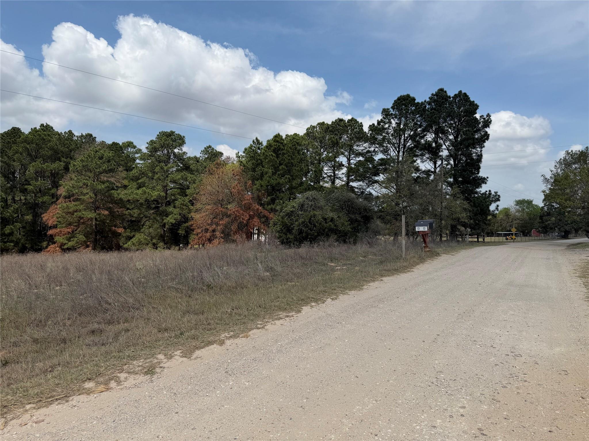 118 Edmonson Ranch Rd, McDade, TX 78650