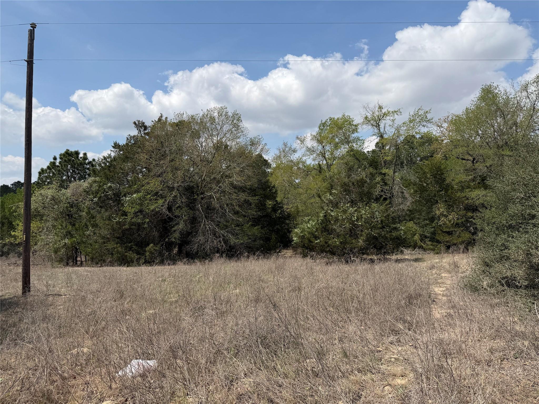 118 Edmonson Ranch Rd, McDade, TX 78650