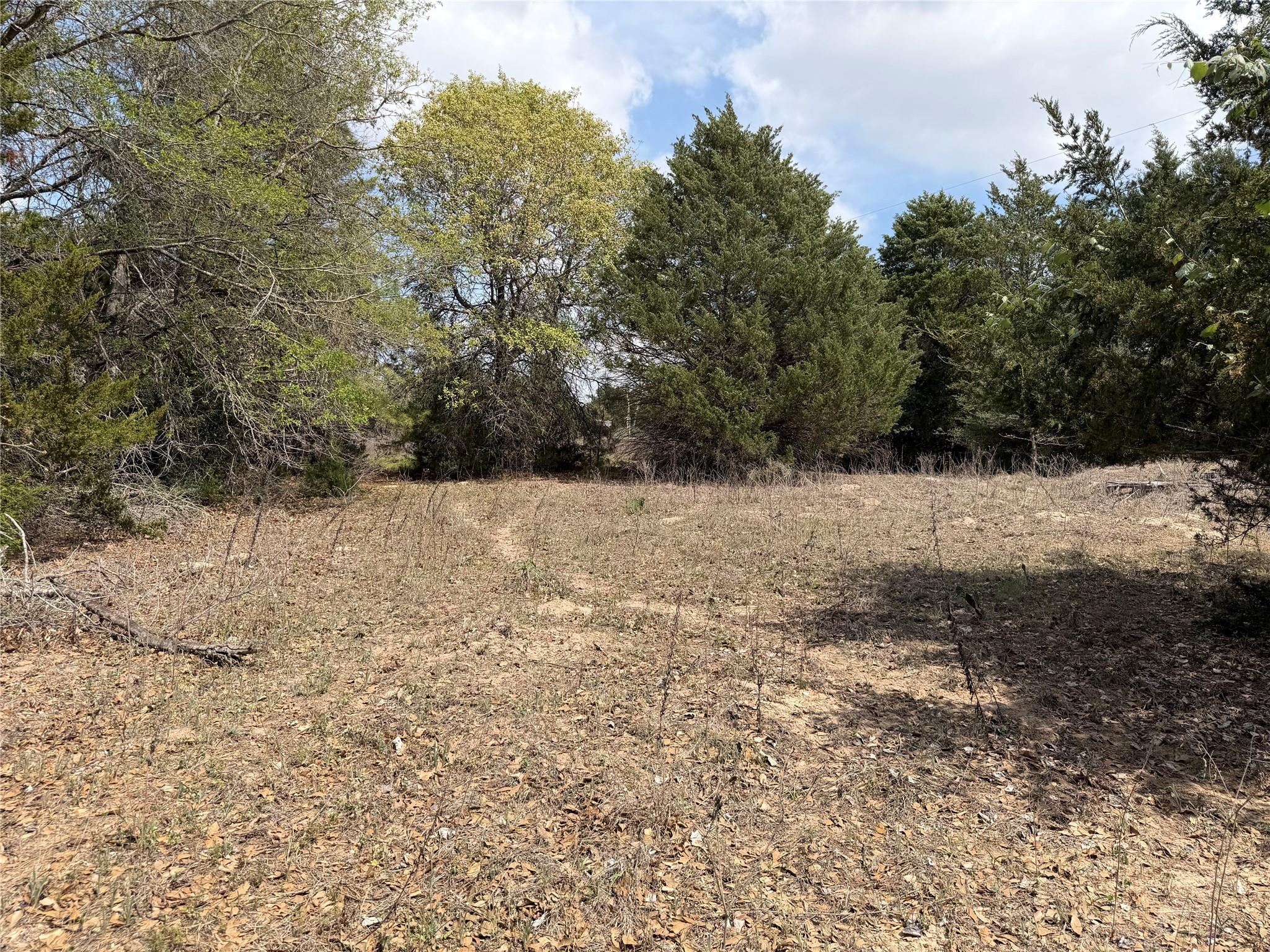 118 Edmonson Ranch Rd, McDade, TX 78650