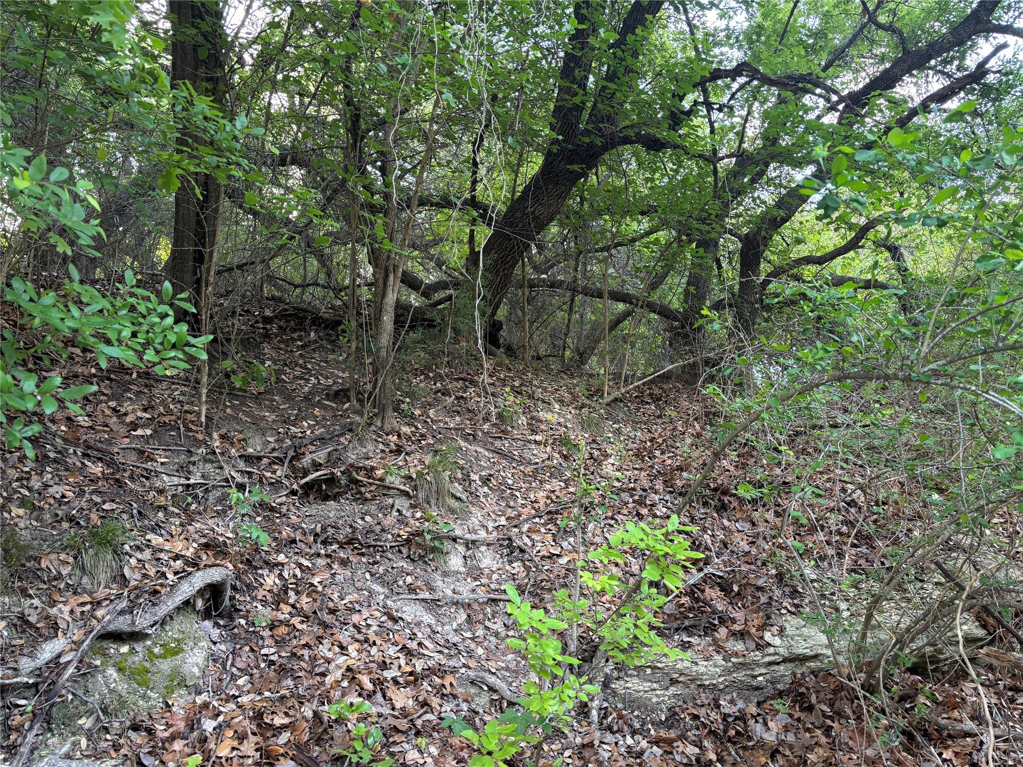 1790 County Road 100, Georgetown, TX 78626