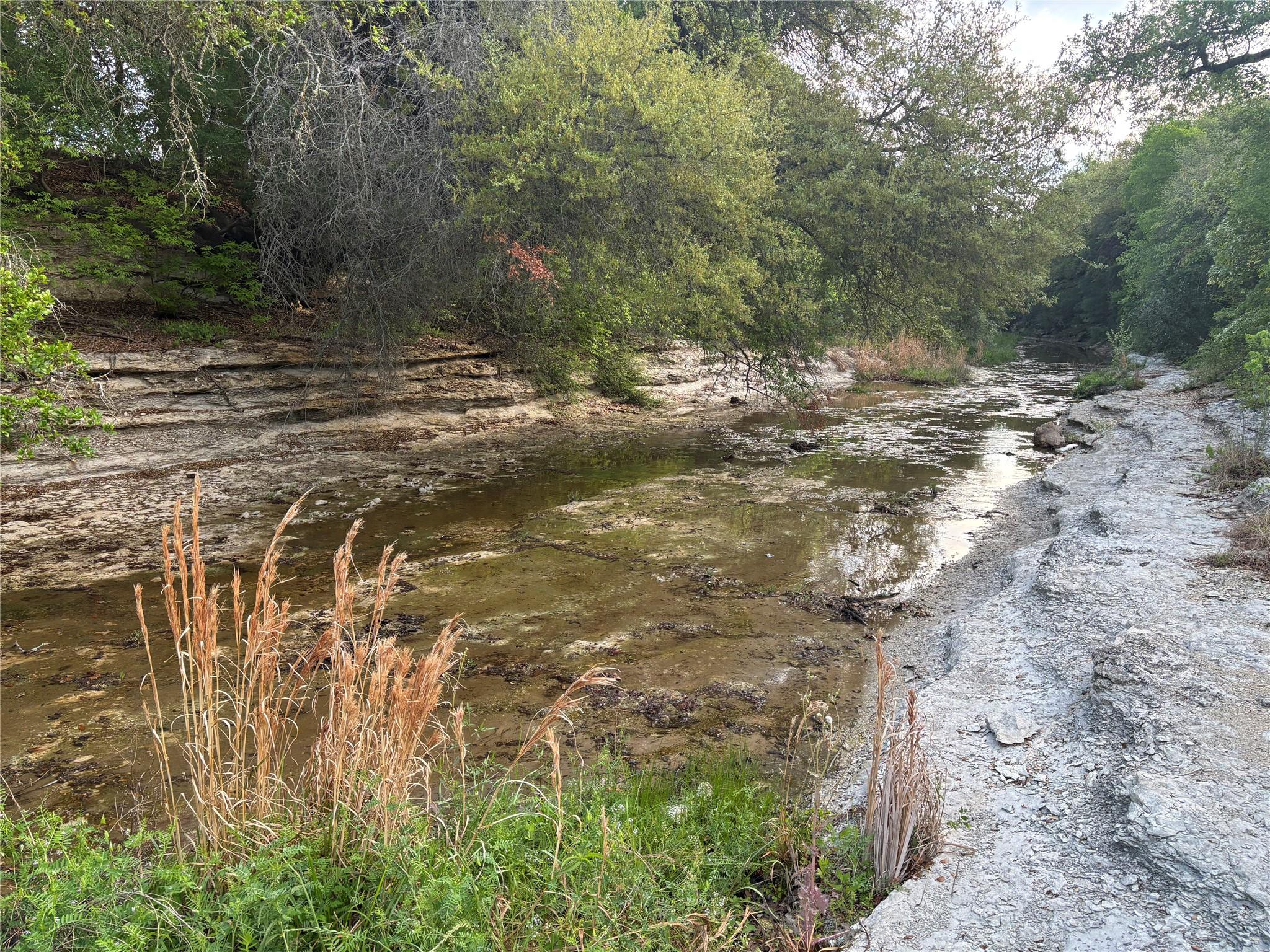 1790 County Road 100, Georgetown, TX 78626