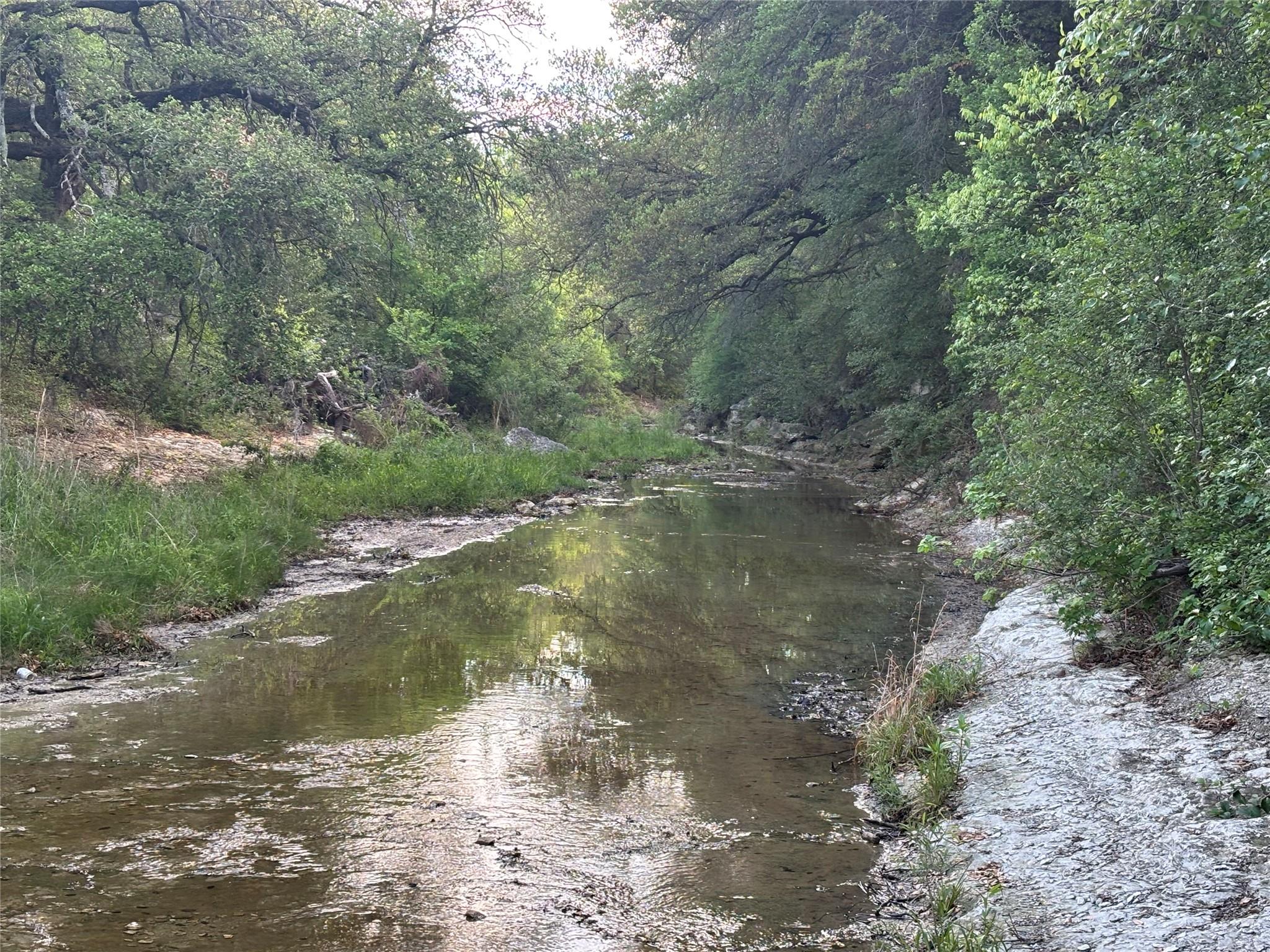 1790 County Road 100, Georgetown, TX 78626