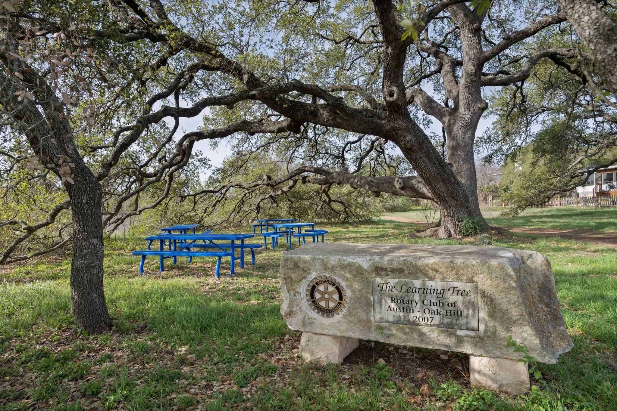 7601 Ponoma Trl, Austin, TX 78749