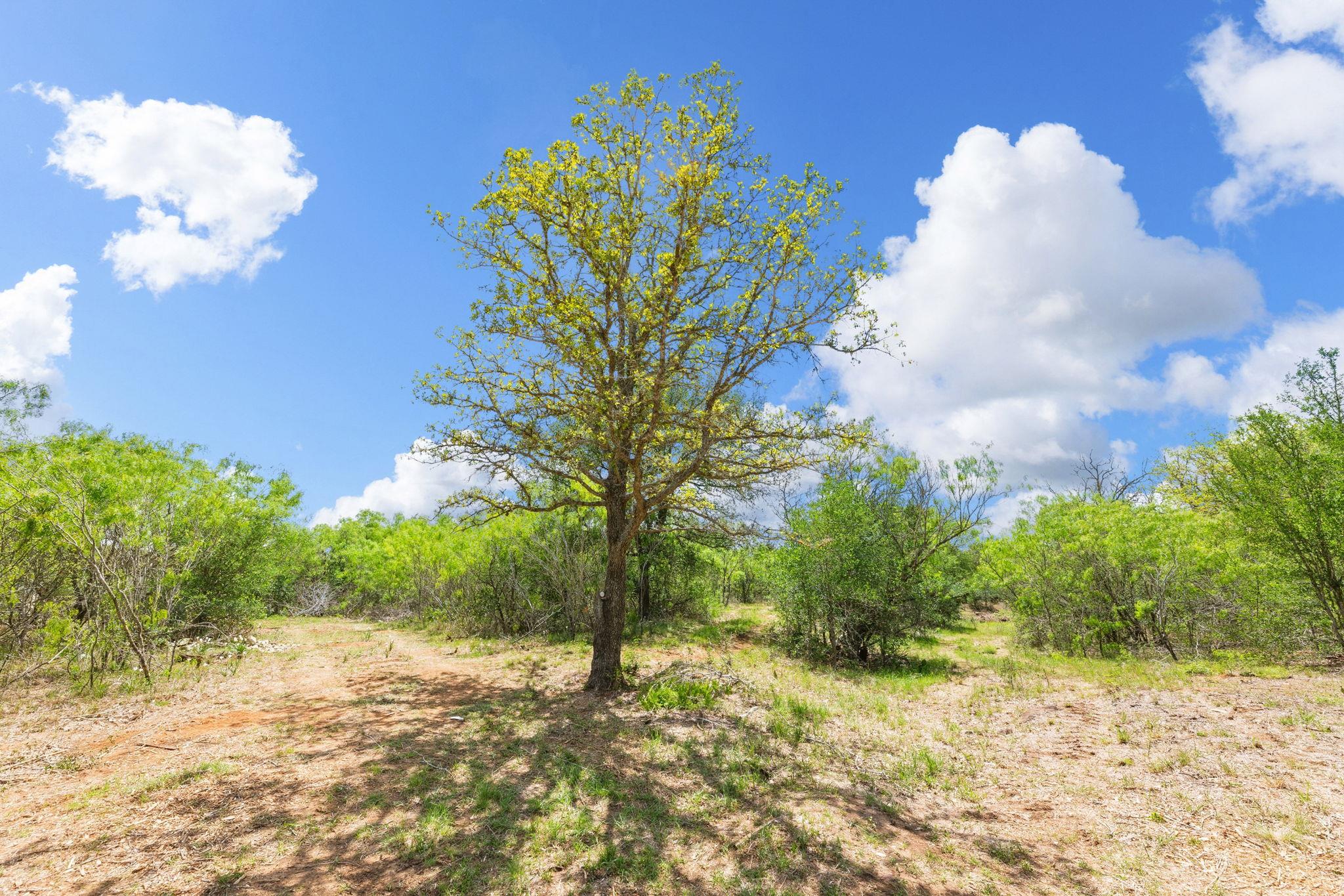 340 Red Hawk Dr, Dale, TX 78616