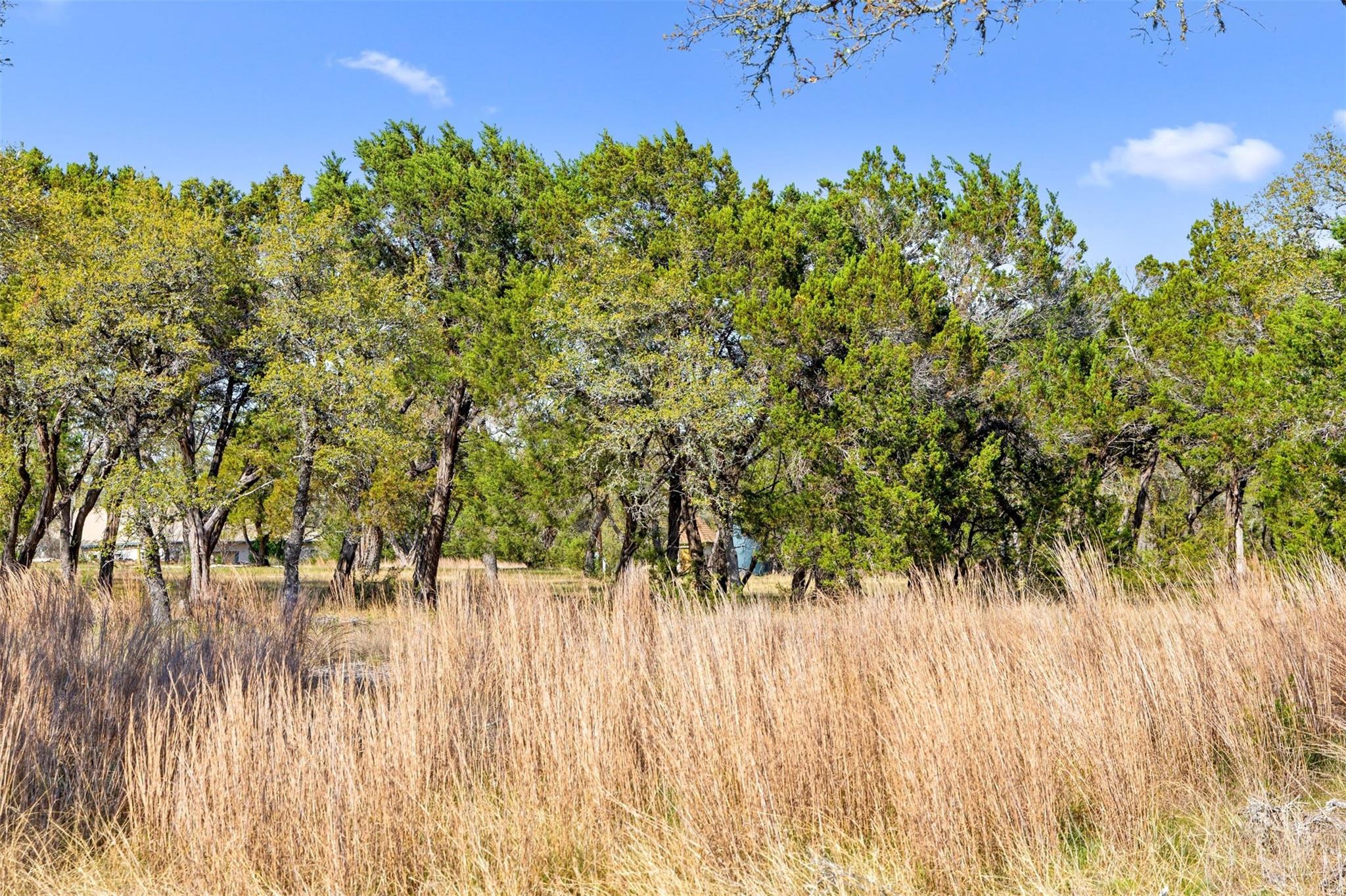 12136 Fitzhugh Pl, Dripping Springs, TX 78620