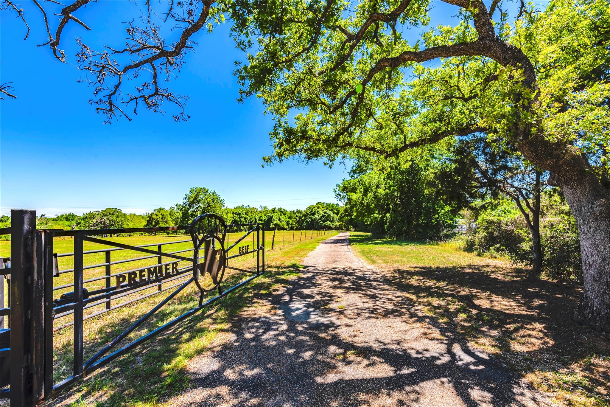 17270 FM 112, Thrall, TX 76578