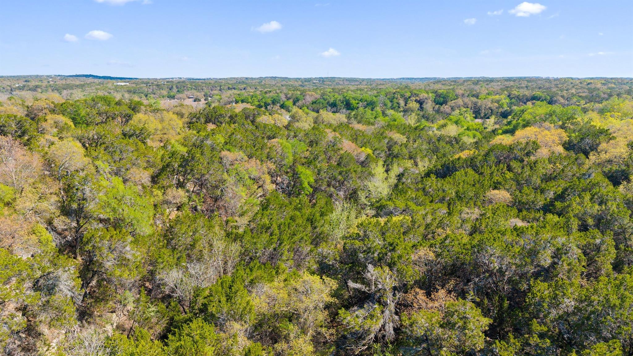 15407 Fitzhugh Rd, Dripping Springs, TX 78620