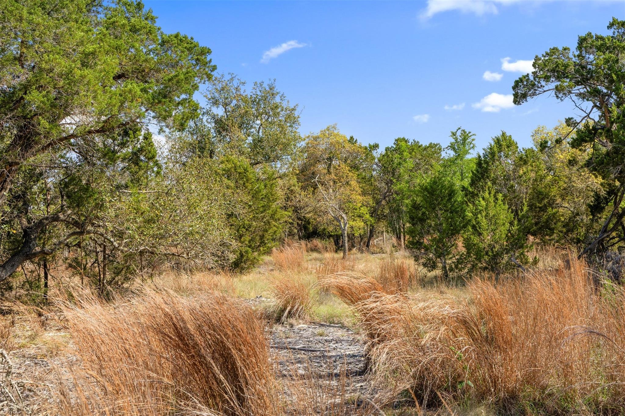 15407 Fitzhugh Rd, Dripping Springs, TX 78620