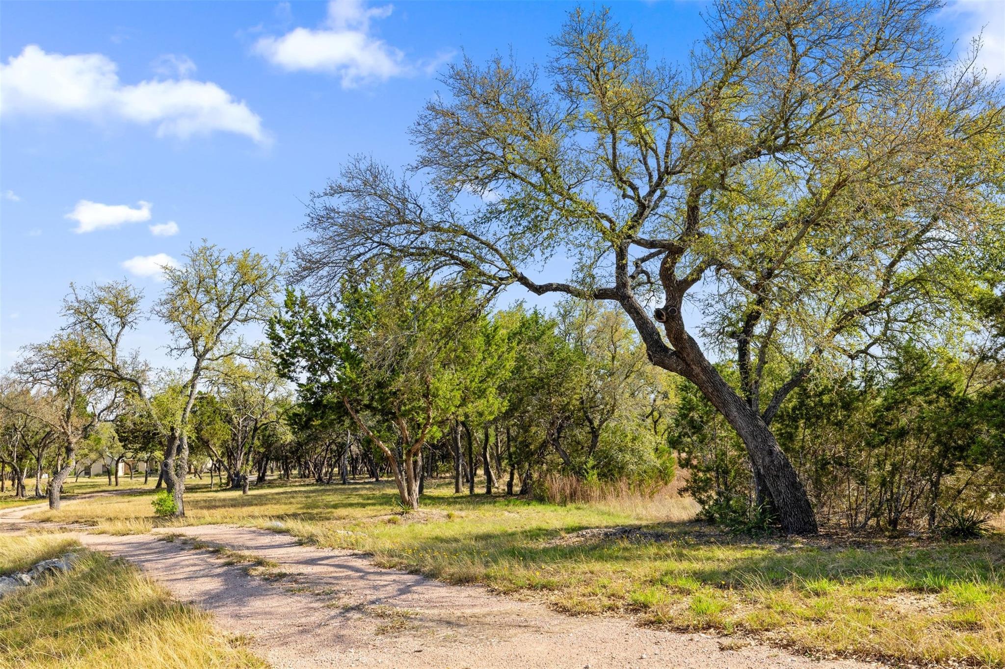 15407 Fitzhugh Rd, Dripping Springs, TX 78620