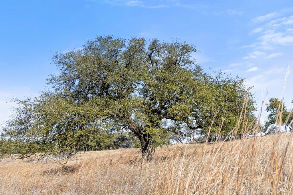 529 Skyline Dr, Blanco, TX 78606