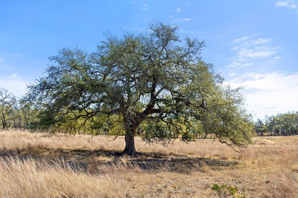 529 Skyline Dr, Blanco, TX 78606