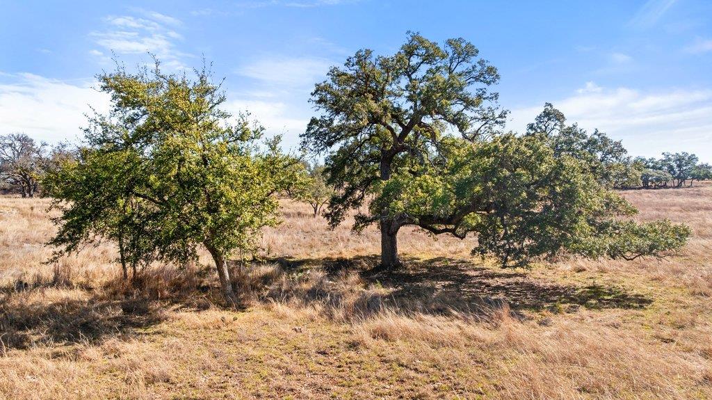 529 Skyline Dr, Blanco, TX 78606