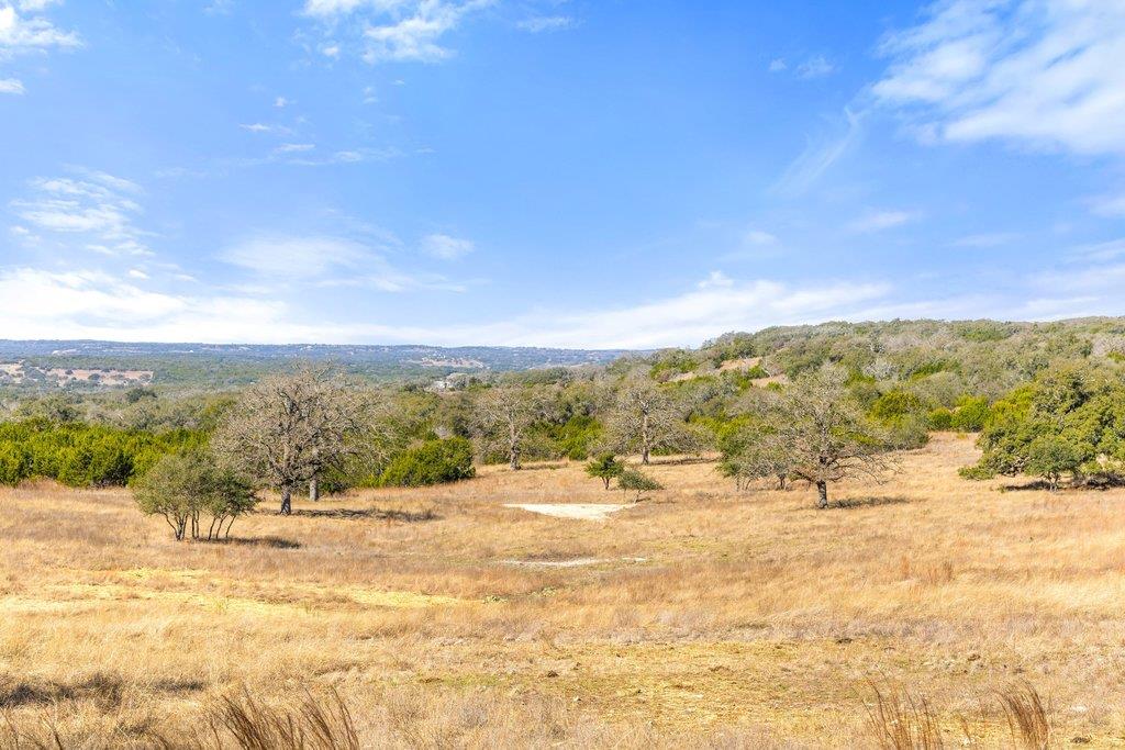 529 Skyline Dr, Blanco, TX 78606