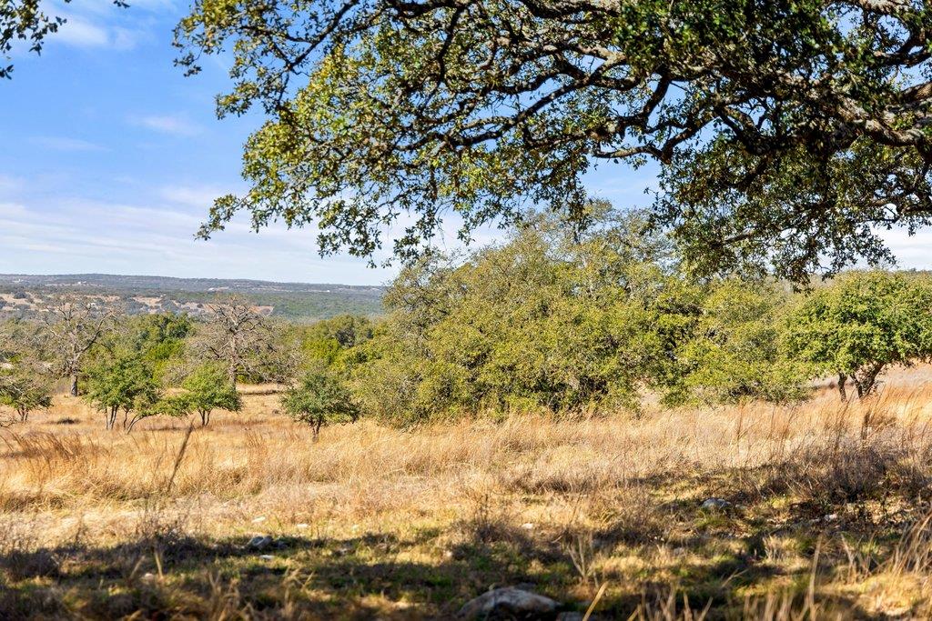 529 Skyline Dr, Blanco, TX 78606