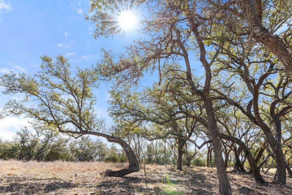 529 Skyline Dr, Blanco, TX 78606