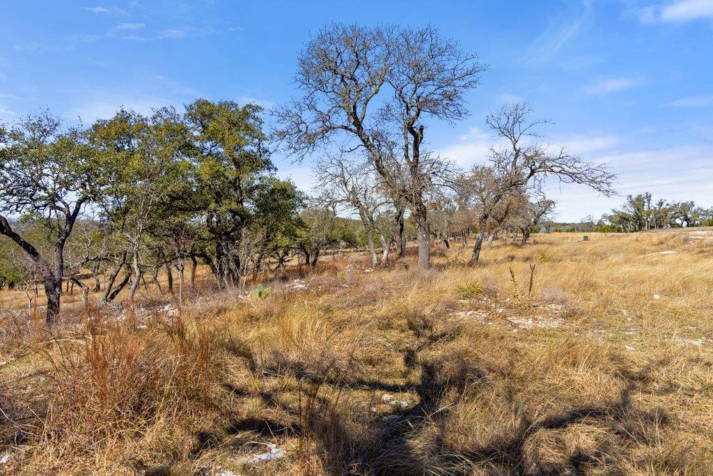 529 Skyline Dr, Blanco, TX 78606