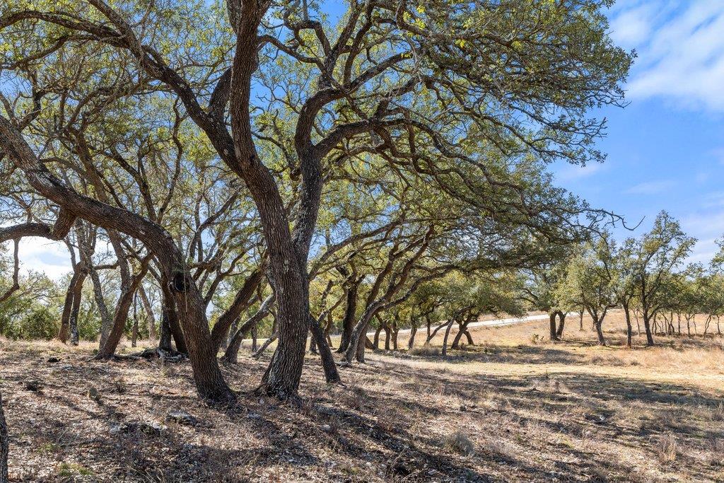 529 Skyline Dr, Blanco, TX 78606