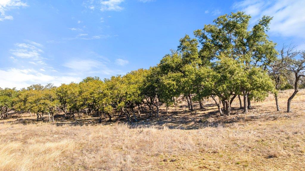 529 Skyline Dr, Blanco, TX 78606