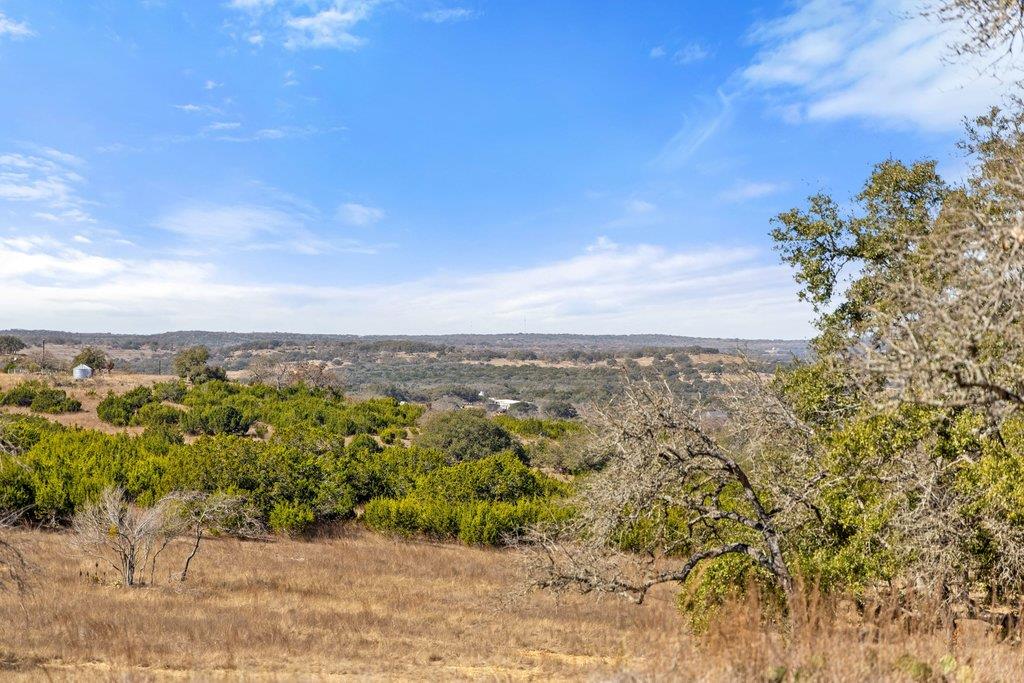 529 Skyline Dr, Blanco, TX 78606