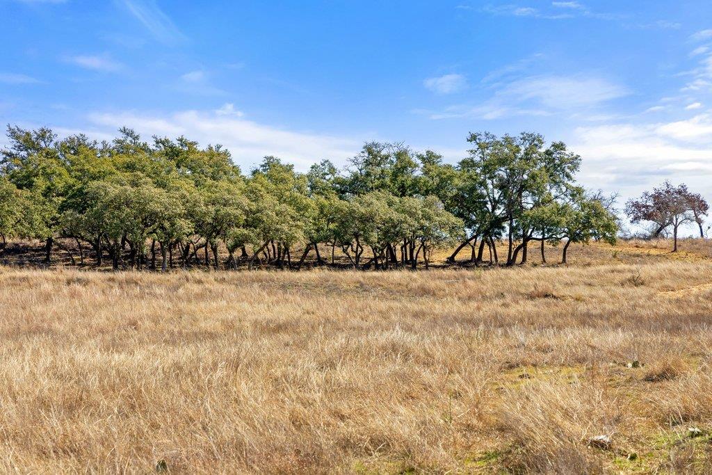 529 Skyline Dr, Blanco, TX 78606