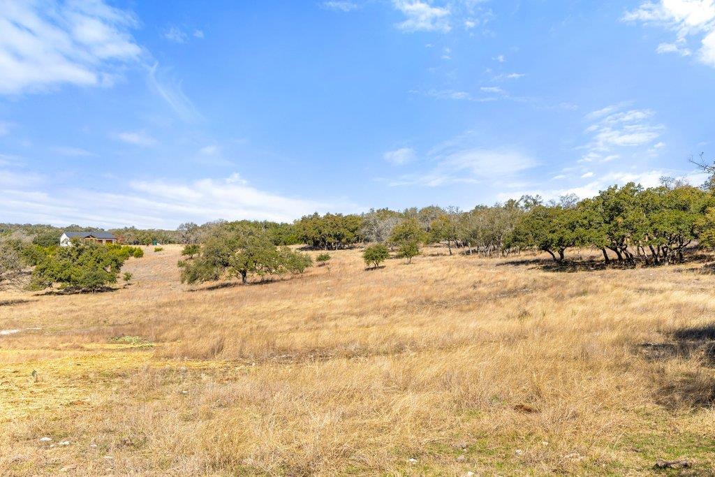 529 Skyline Dr, Blanco, TX 78606