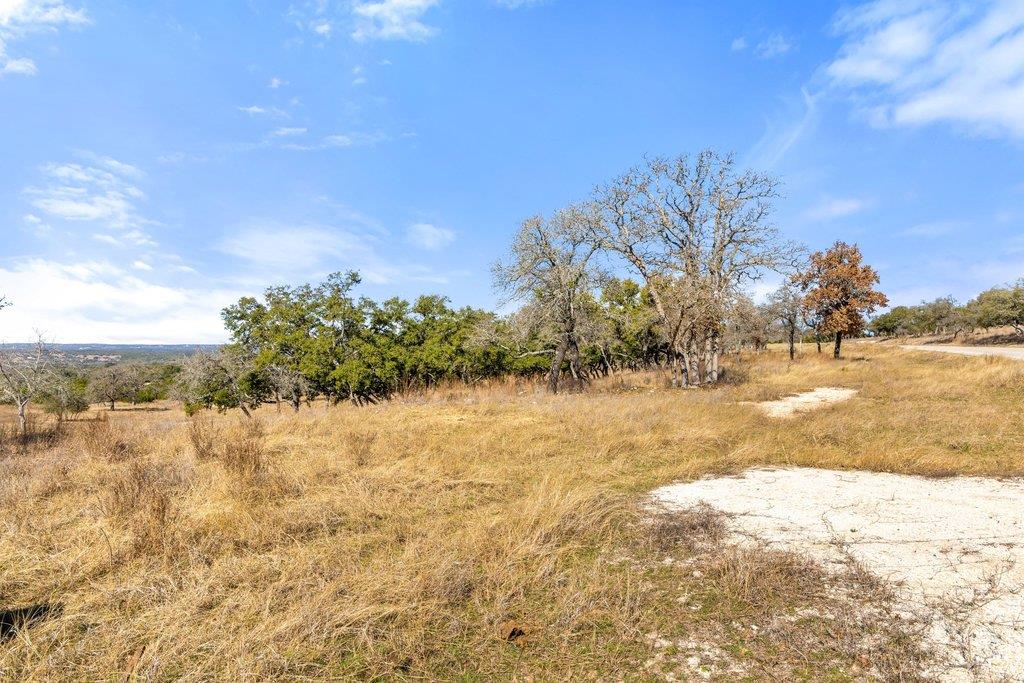 529 Skyline Dr, Blanco, TX 78606