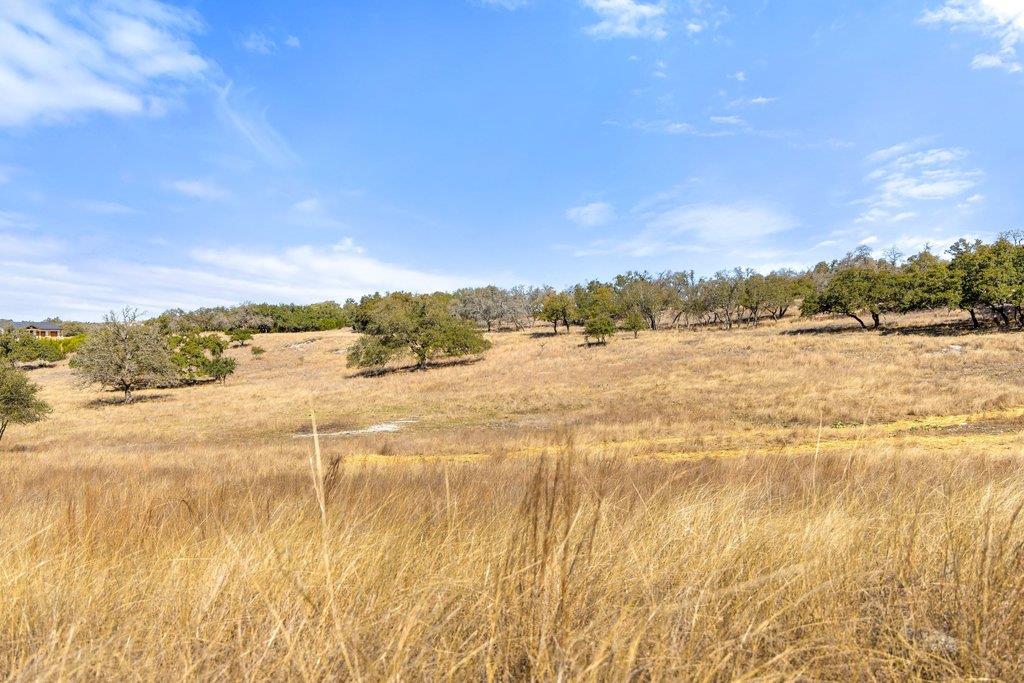 529 Skyline Dr, Blanco, TX 78606