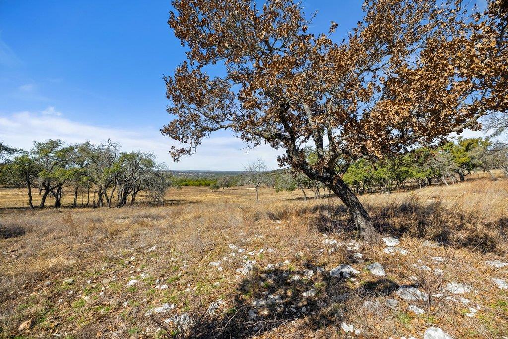 529 Skyline Dr, Blanco, TX 78606