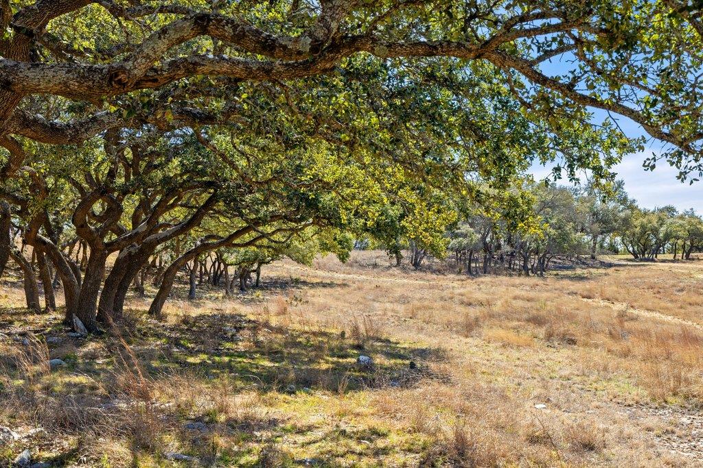 529 Skyline Dr, Blanco, TX 78606