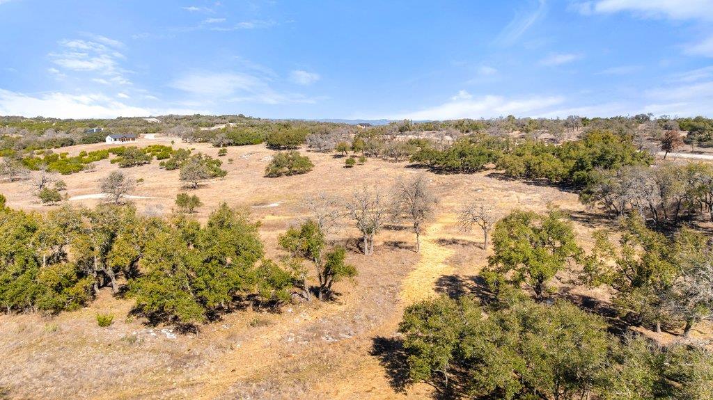 529 Skyline Dr, Blanco, TX 78606