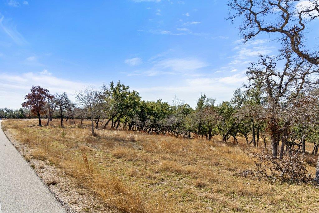 529 Skyline Dr, Blanco, TX 78606