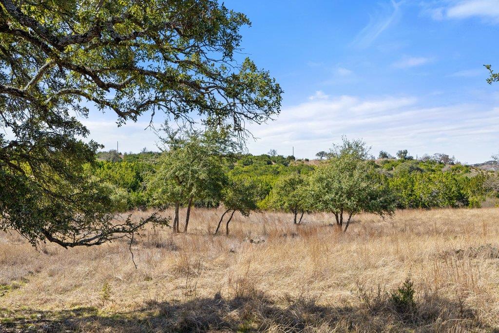 529 Skyline Dr, Blanco, TX 78606