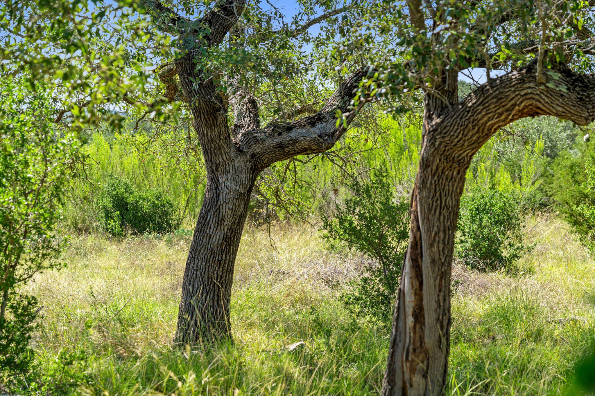 620 Rio Vista Rd, Johnson City, TX 78636