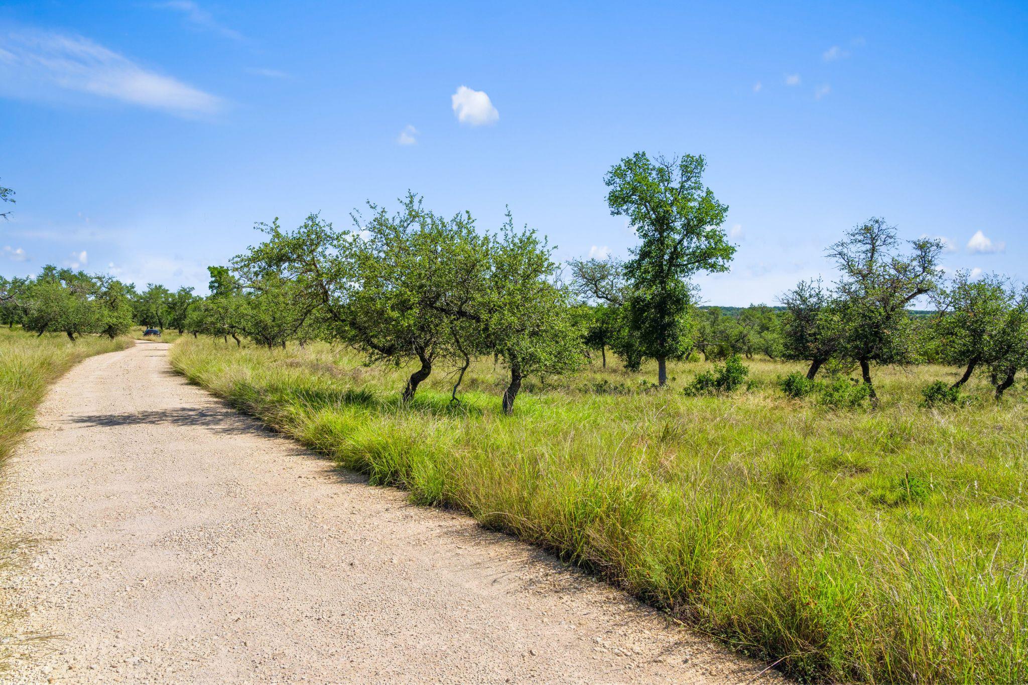 620 Rio Vista Rd, Johnson City, TX 78636