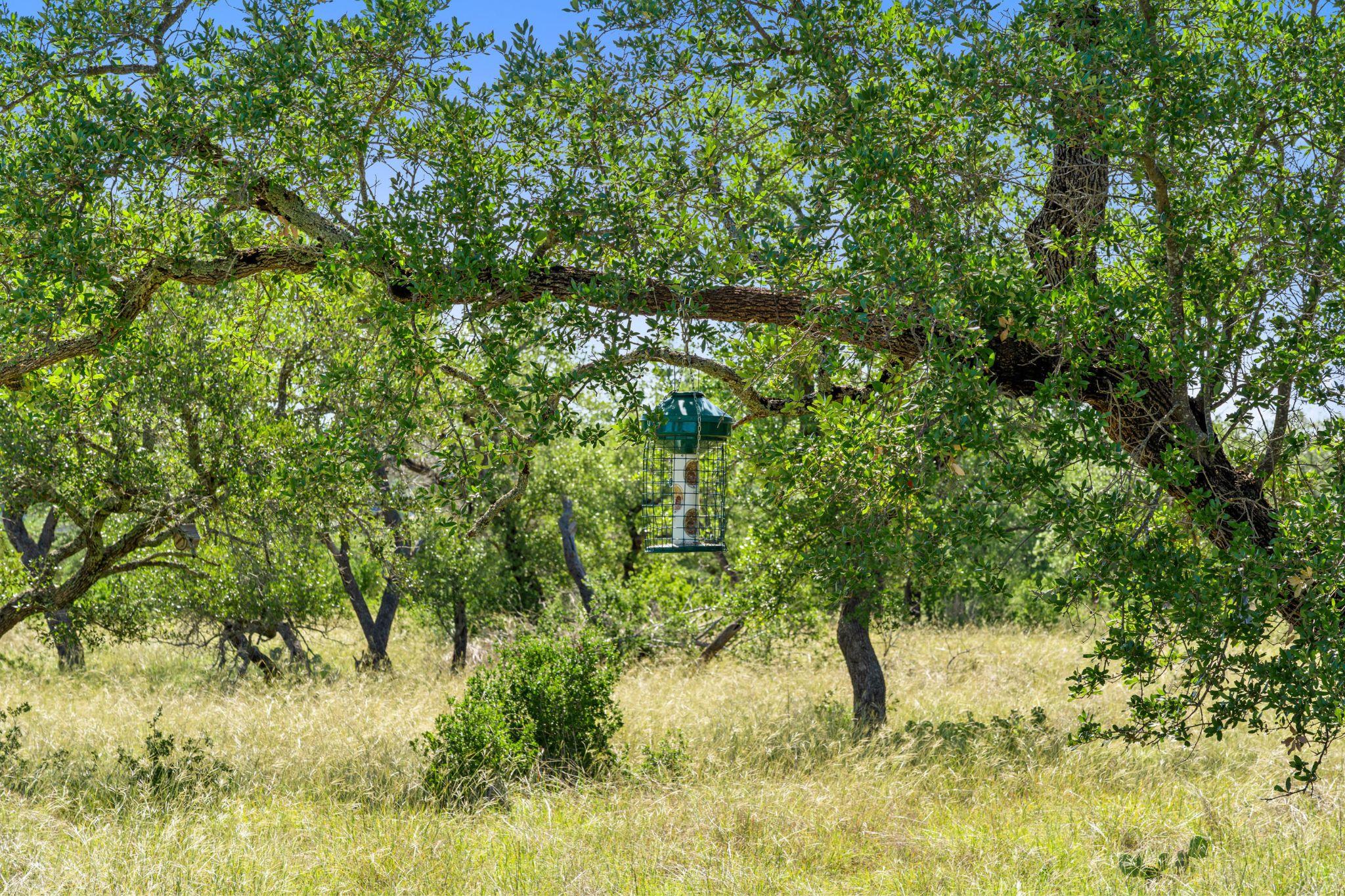 620 Rio Vista Rd, Johnson City, TX 78636