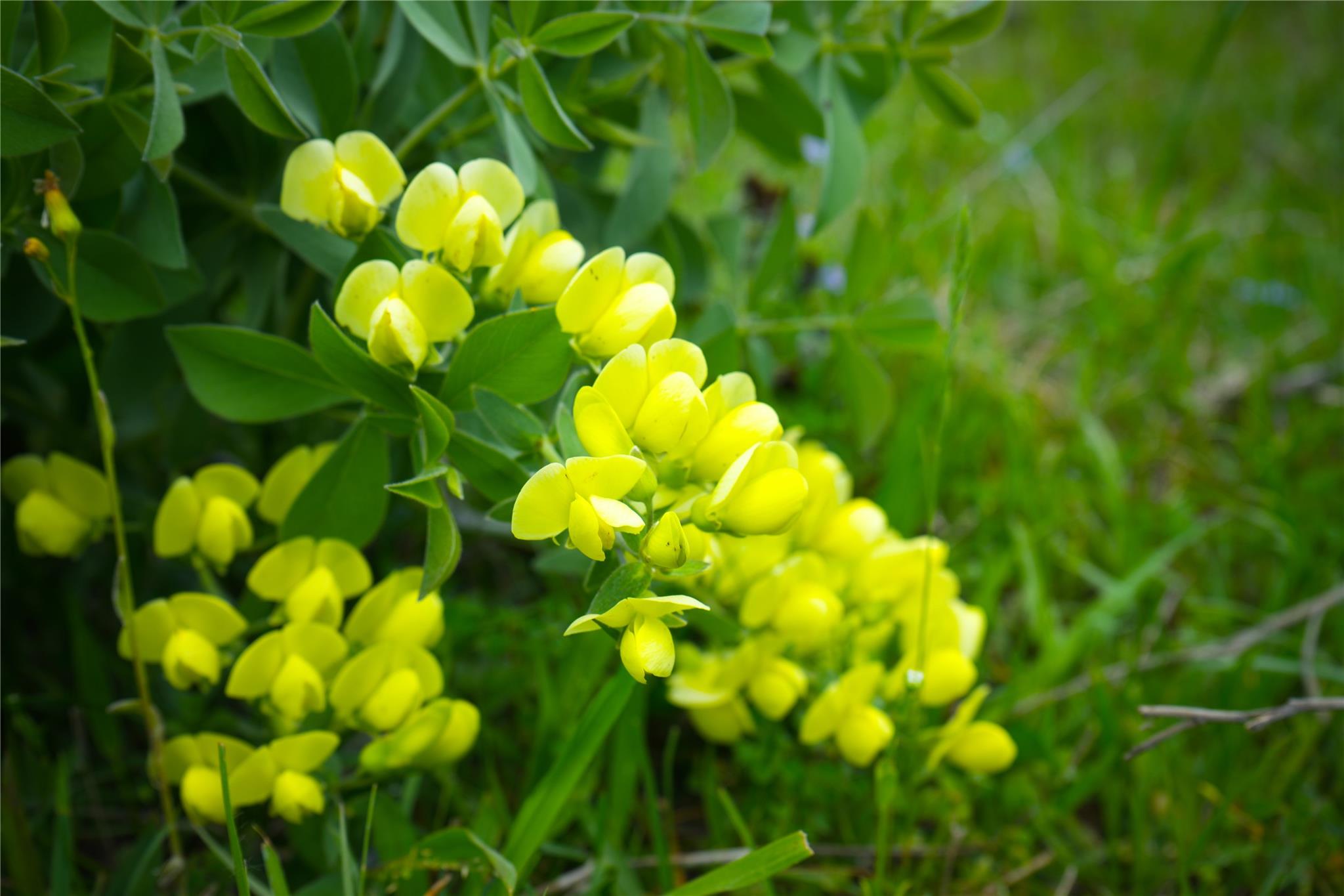 8770 Lee Ln, Madisonville, TX 77872