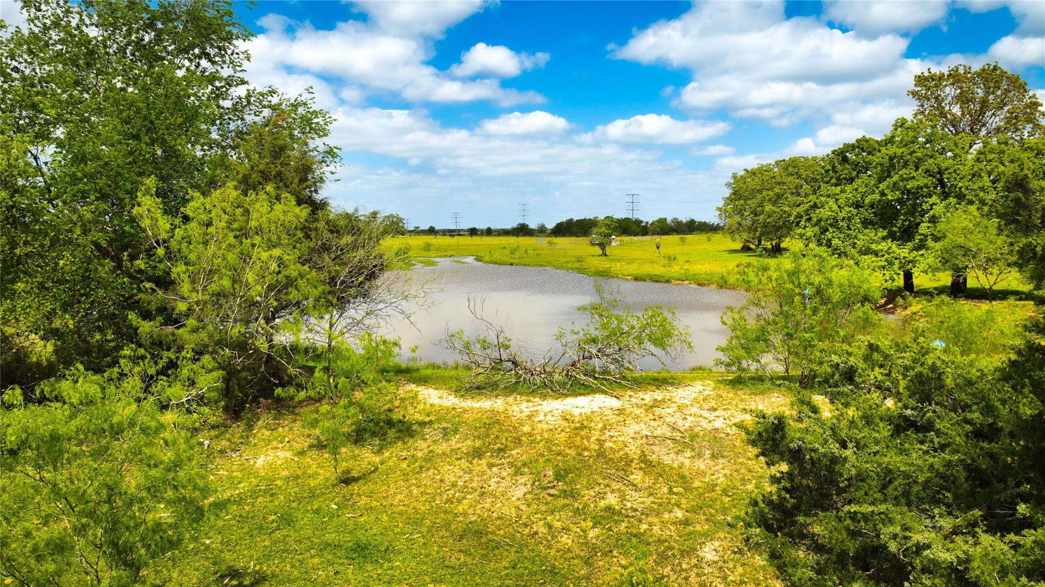 8770 Lee Ln, Madisonville, TX 77872