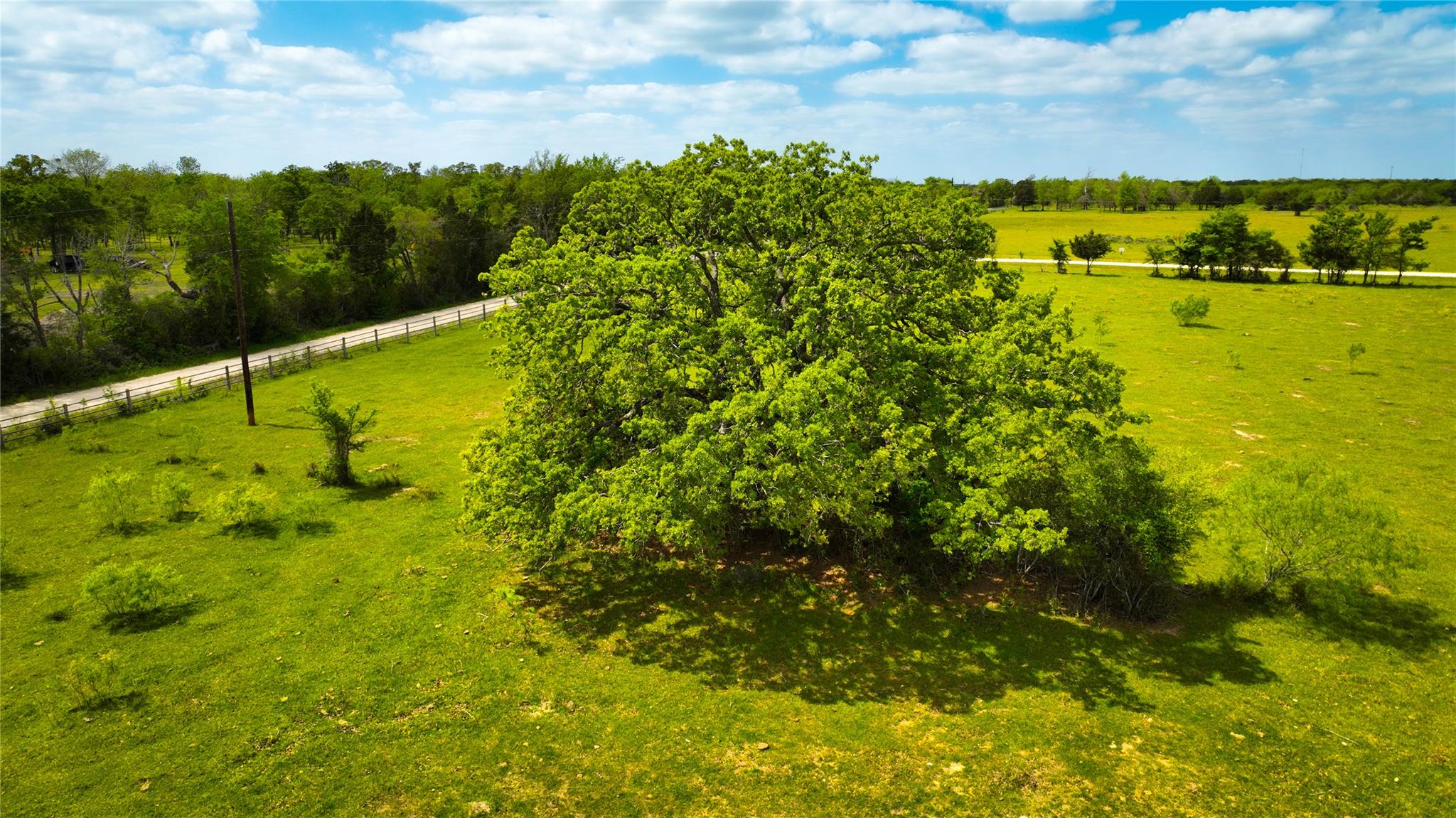 8770 Lee Ln, Madisonville, TX 77872