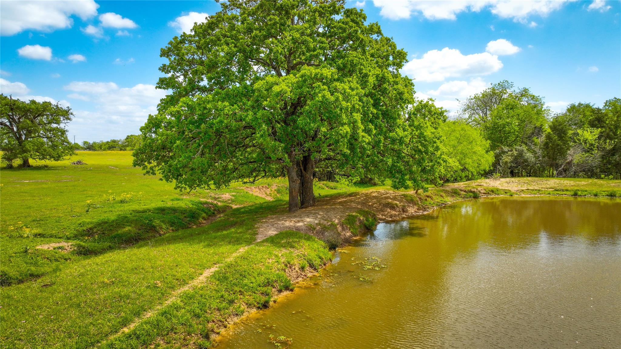 8770 Lee Ln, Madisonville, TX 77872