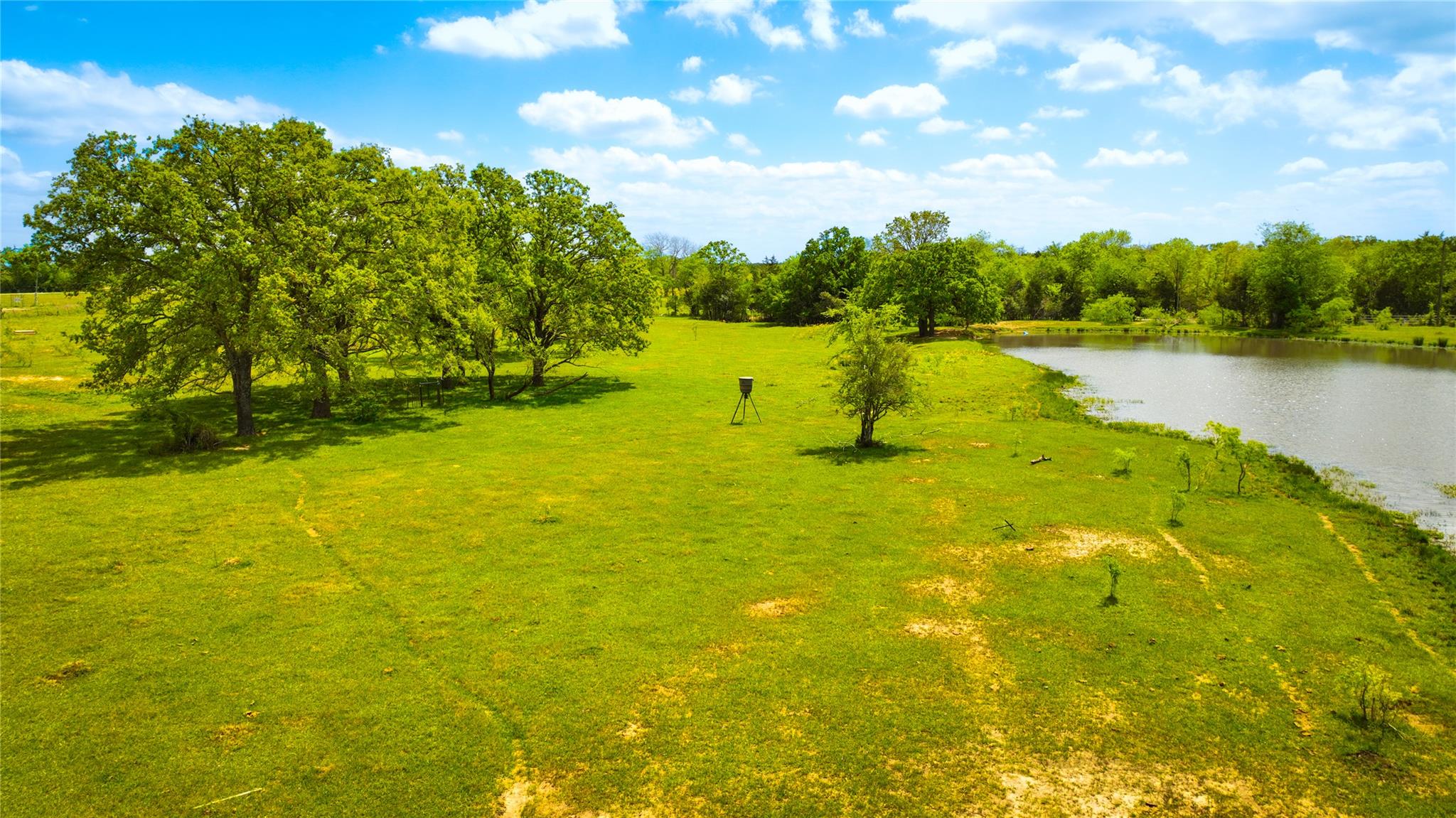 8770 Lee Ln, Madisonville, TX 77872