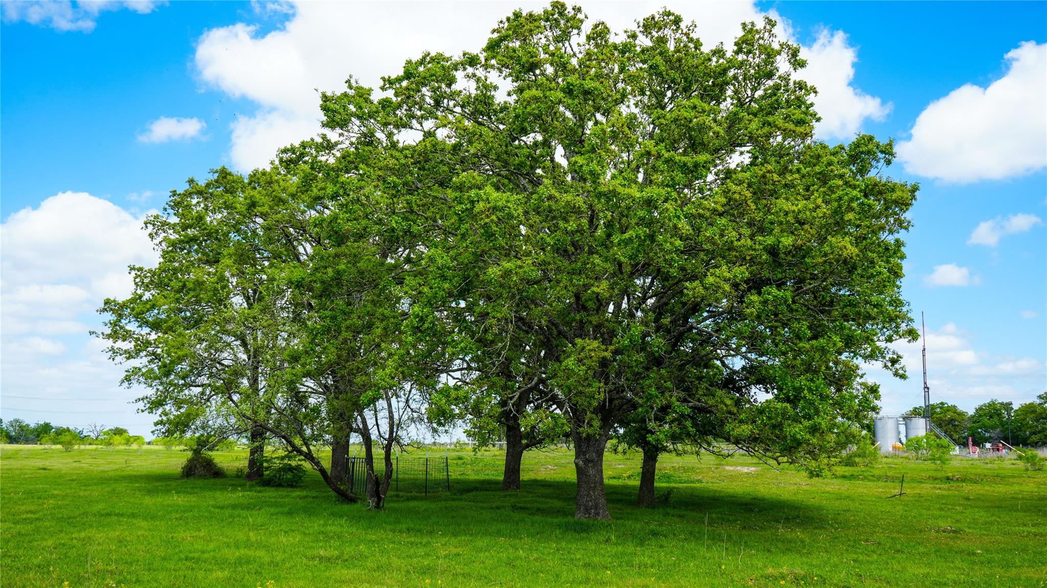 8770 Lee Ln, Madisonville, TX 77872