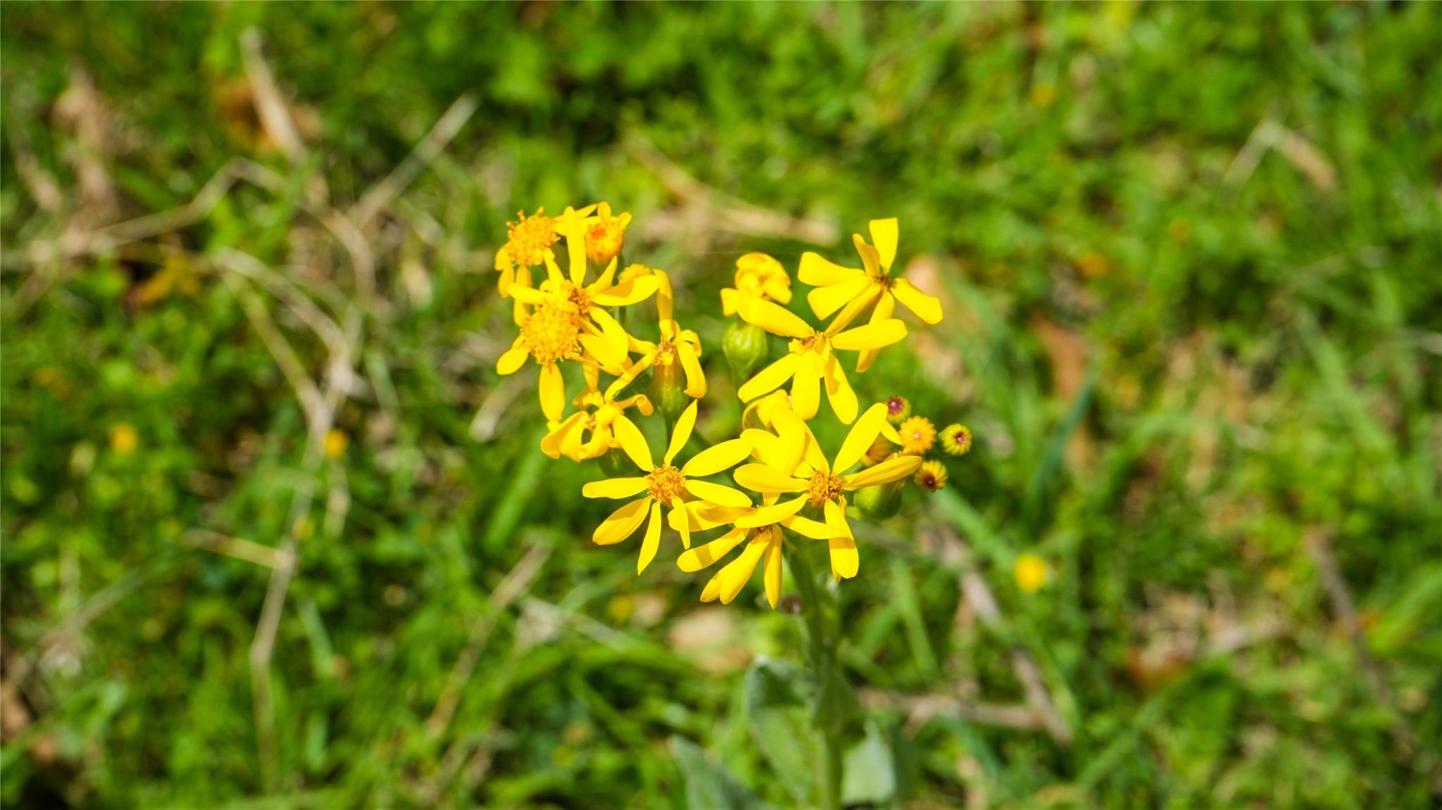 8770 Lee Ln, Madisonville, TX 77872