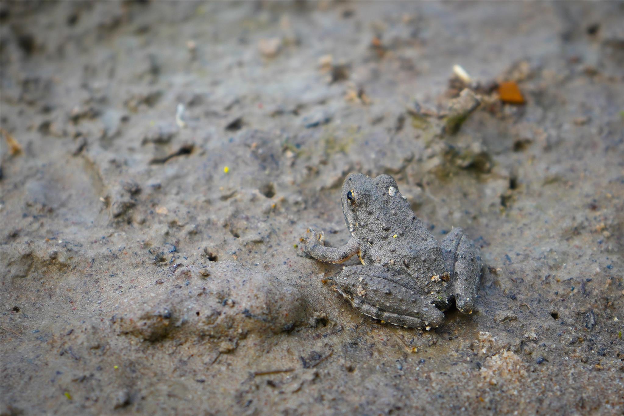 8770 Lee Ln, Madisonville, TX 77872