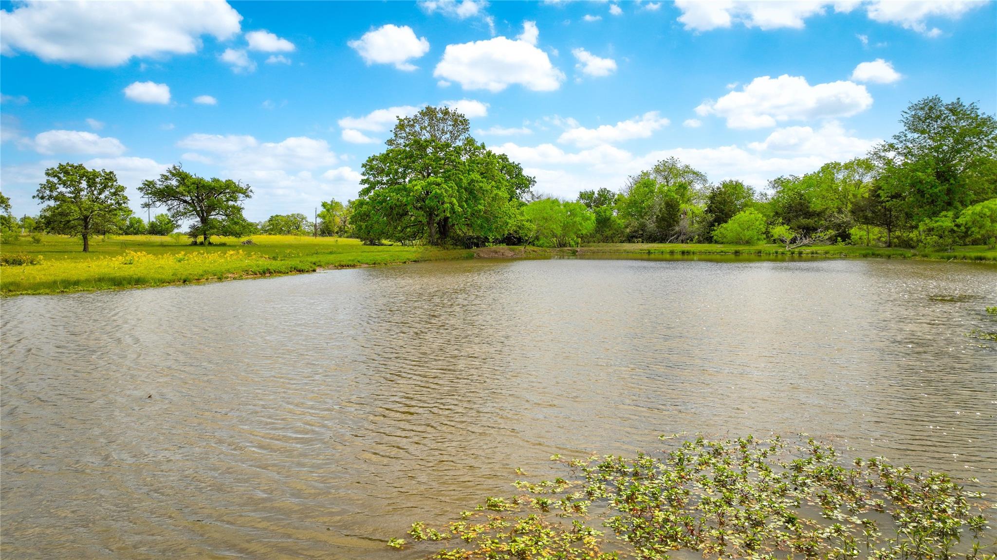 8770 Lee Ln, Madisonville, TX 77872