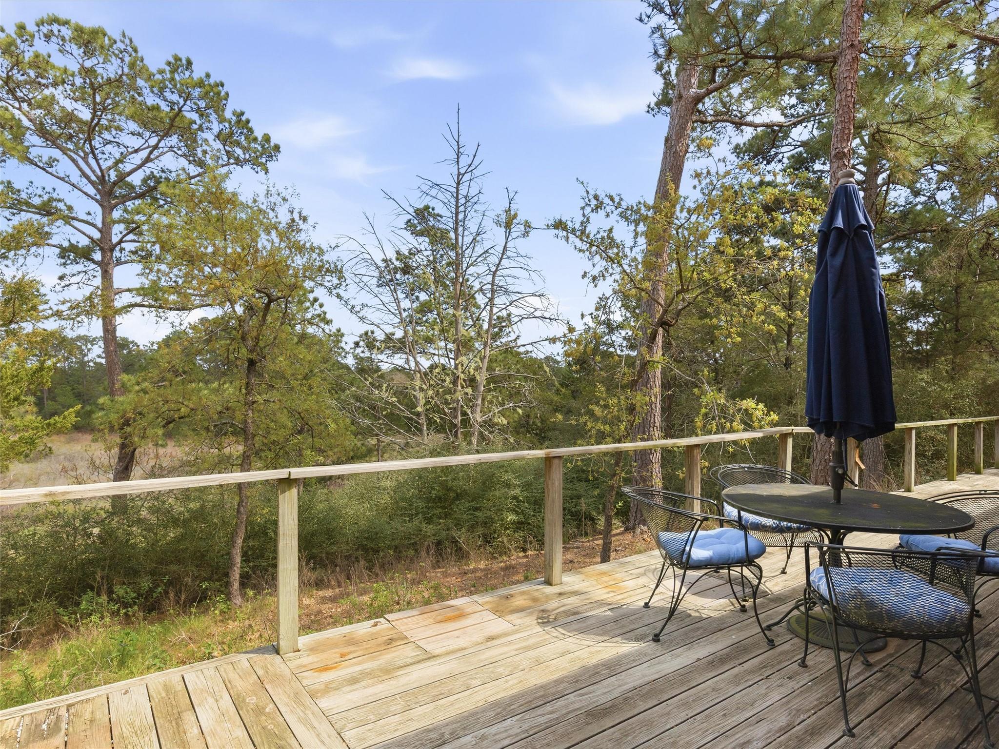 215 Lakeview Dr, Smithville, TX 78957