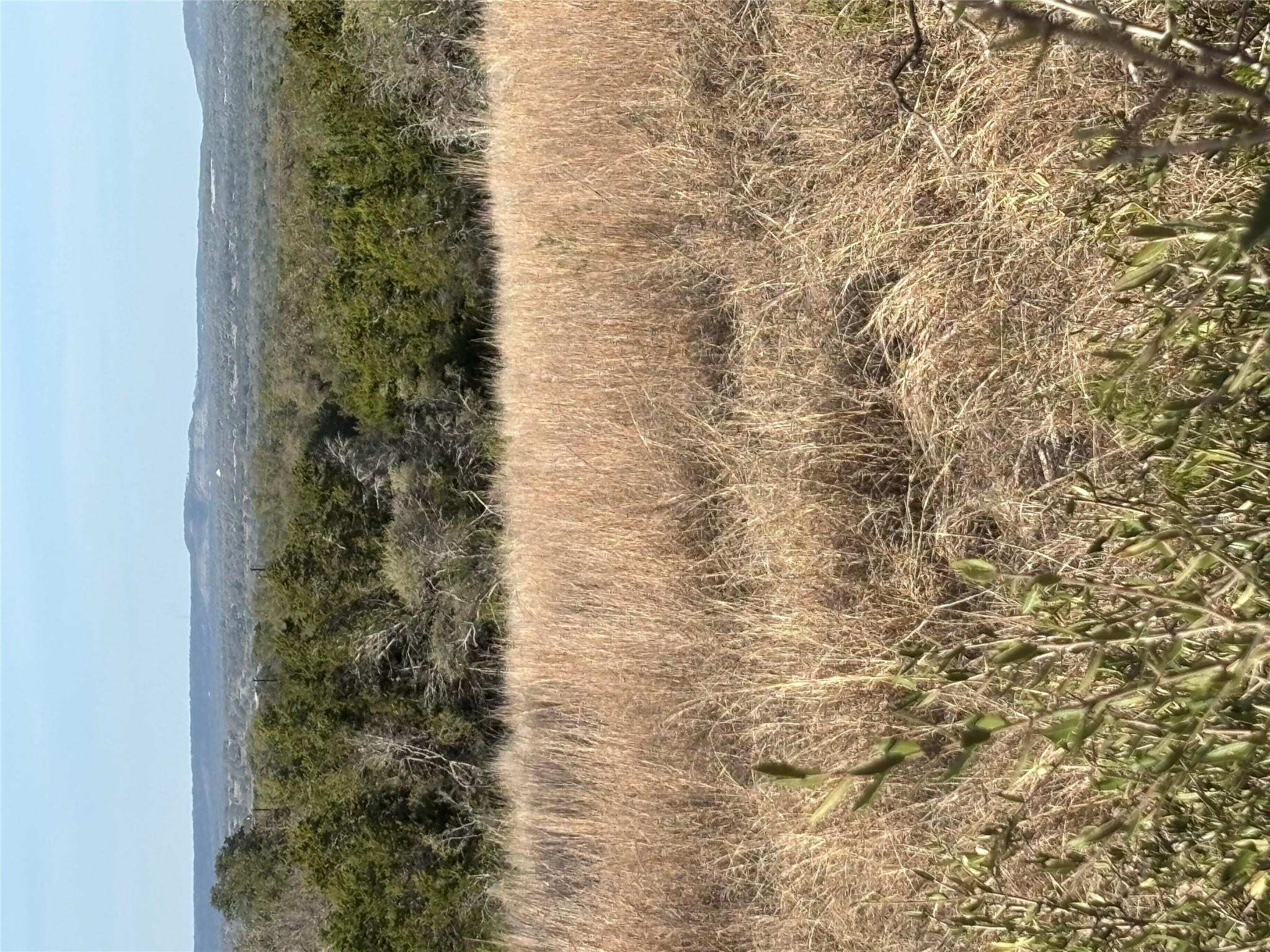 768 Tiswin Trl, Blanco, TX 78606