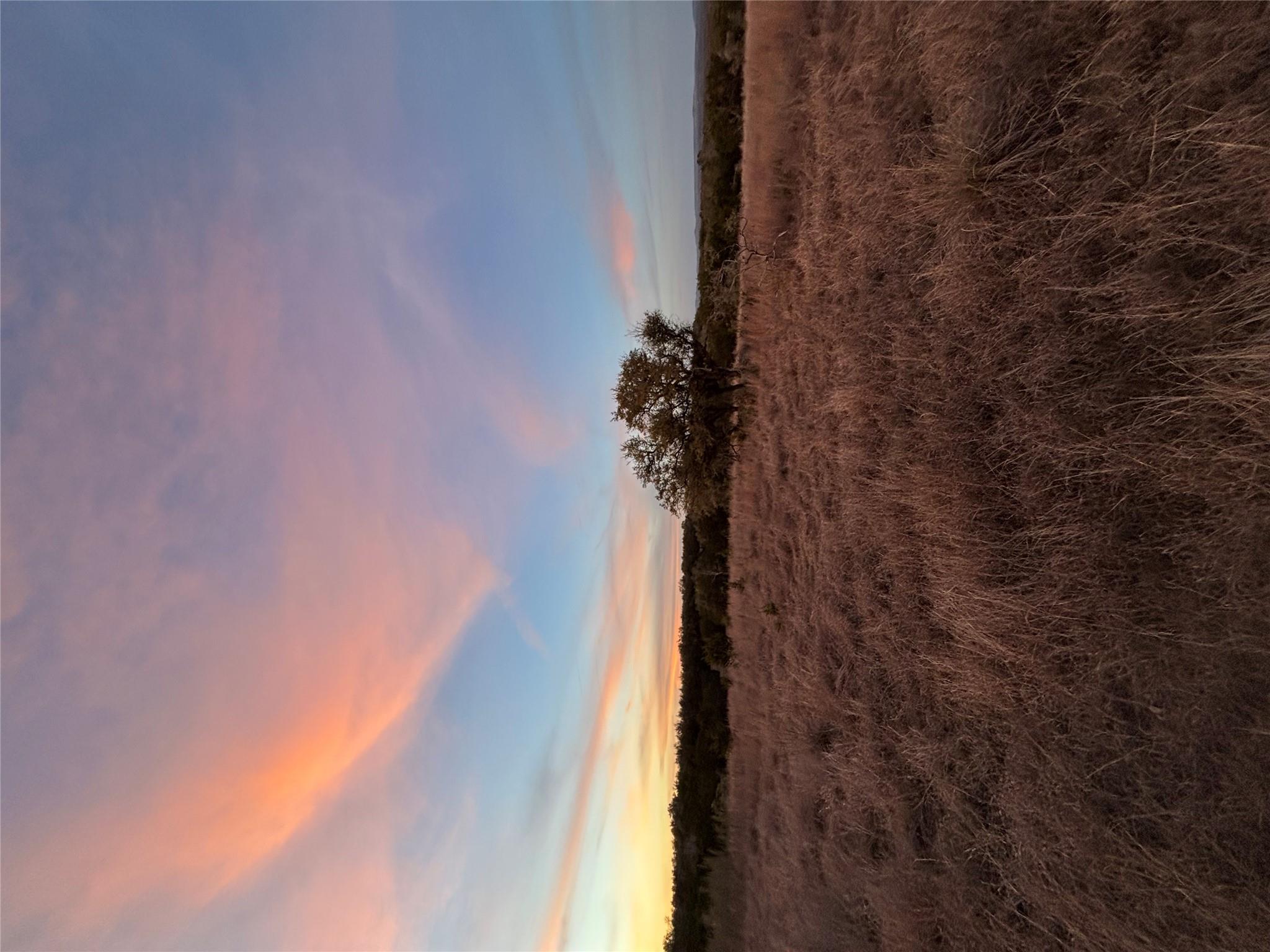 768 Tiswin Trl, Blanco, TX 78606